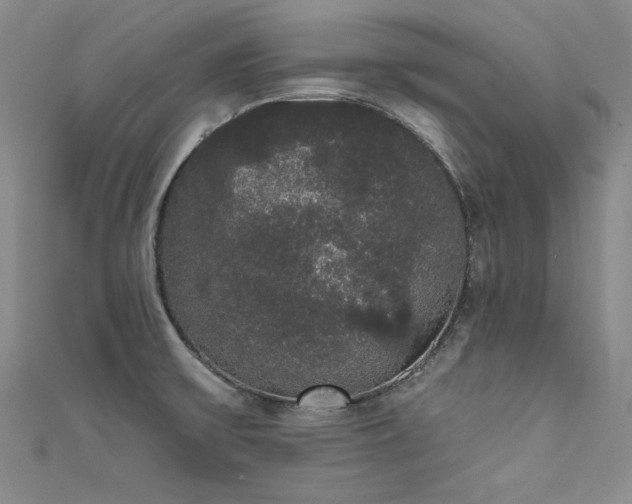 X0000111521475200907141458