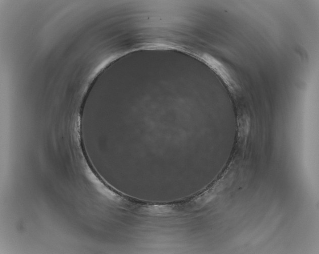 X0000111521476200907141458