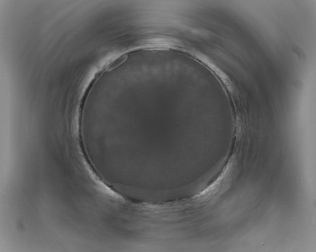 X0000111521477200907141458