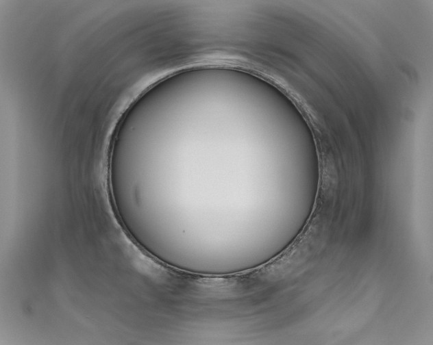 X0000111521478200907141458