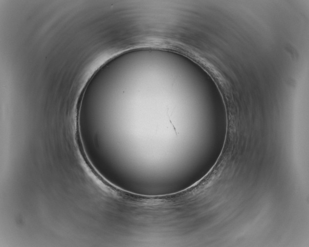 X0000111521479200907141458