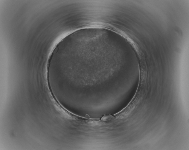 X0000111521480200907141458