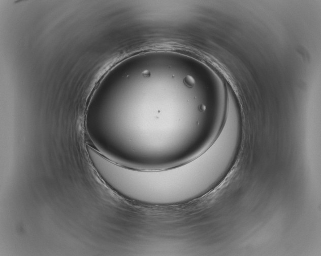 X0000111521481200907141458
