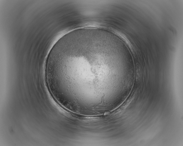 X0000111521483200907141458