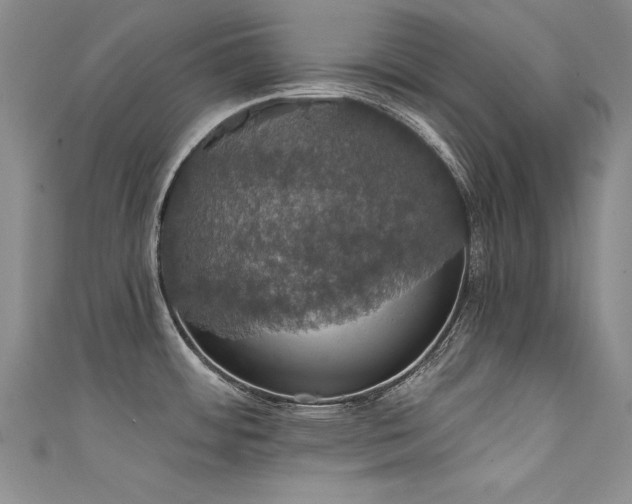X0000111521484200907141458