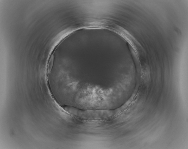 X0000111521485200907141458