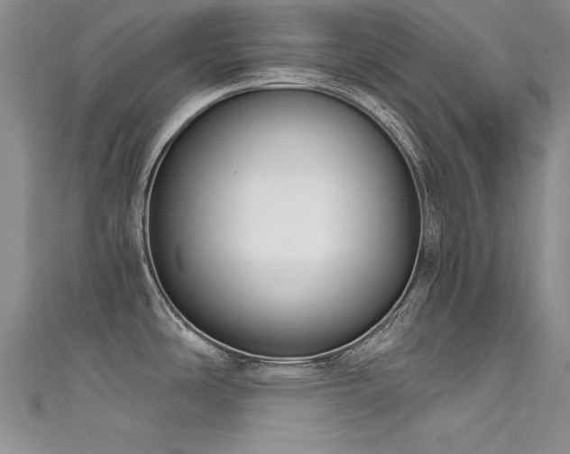 X0000111521486200907141458