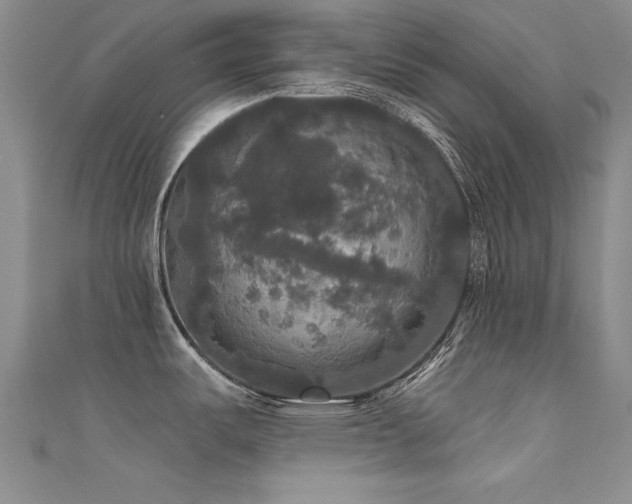 X0000111521487200907141458
