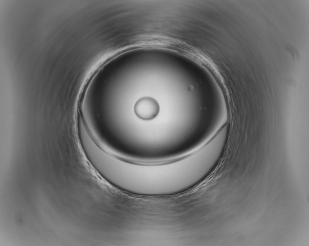 X0000111521488200907141458