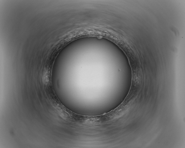 X0000111521490200907141457