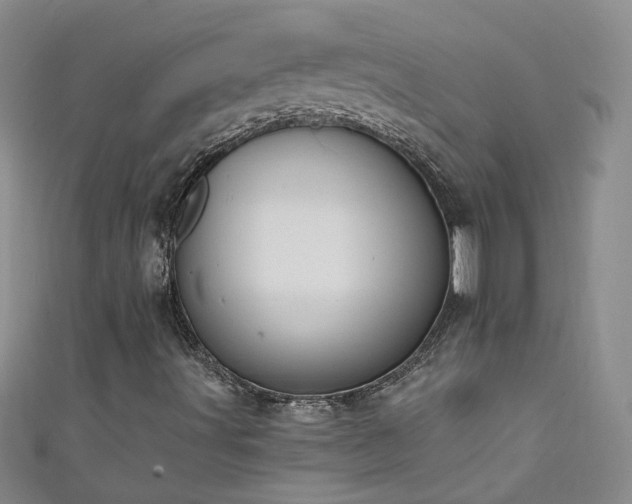 X0000111521491200907141457