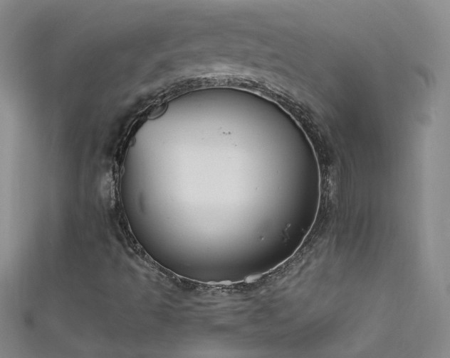 X0000111521493200907141457