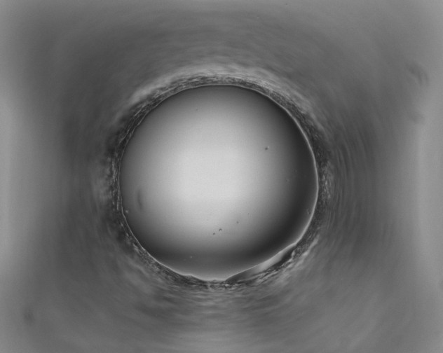 X0000111521494200907141457