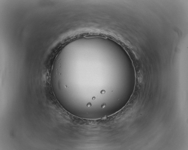 X0000111521495200907141457