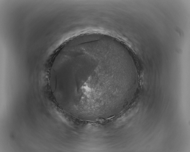 X0000111521496200907141457