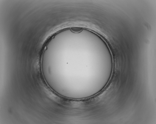X0000111521498200907141457