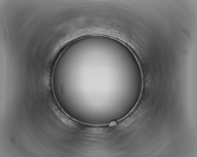 X0000111521499200907141457