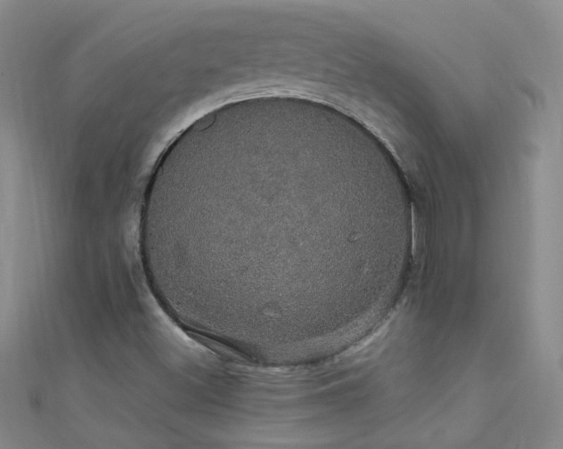 X0000111521500200907141457