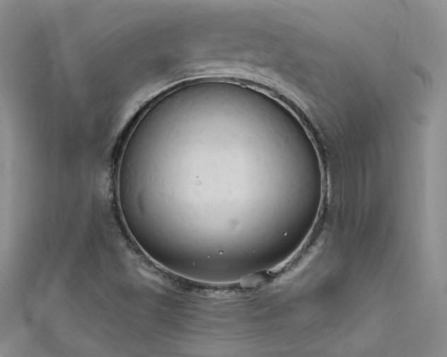 X0000111521501200907141457