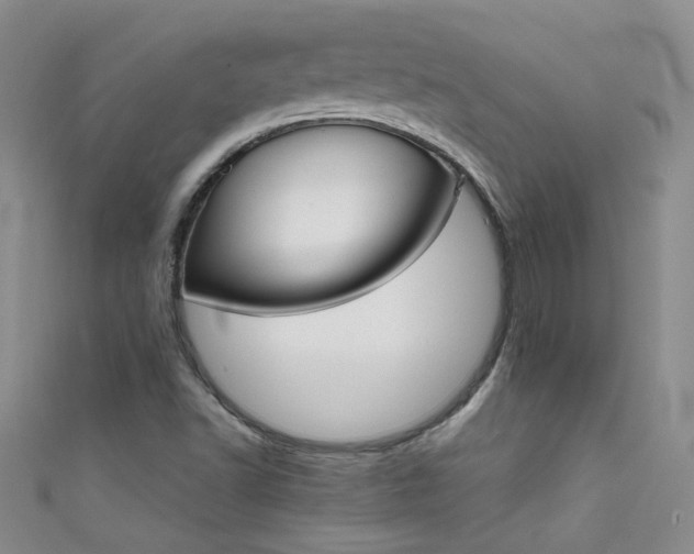 X0000111521502200907141457
