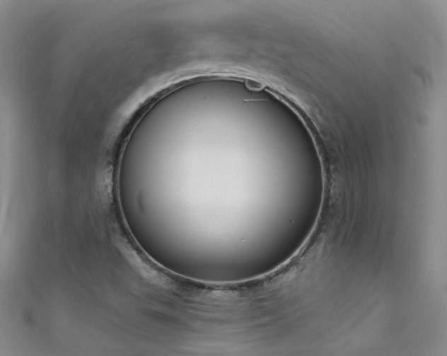 X0000111521503200907141457