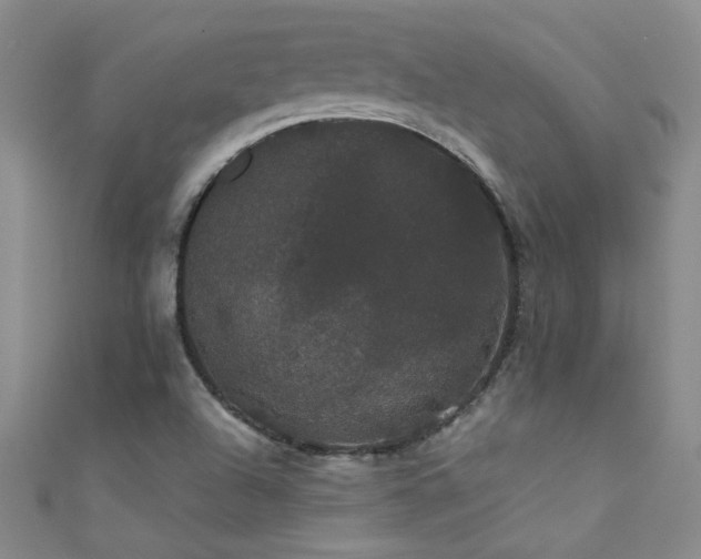 X0000111521504200907141457