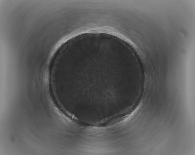 X0000111521506200907141457