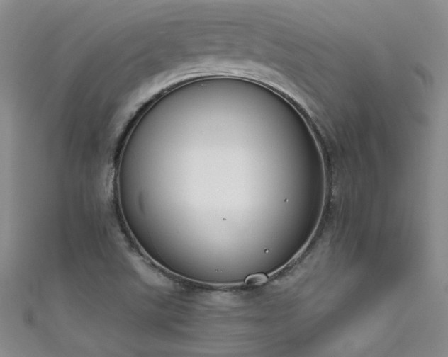 X0000111521507200907141457