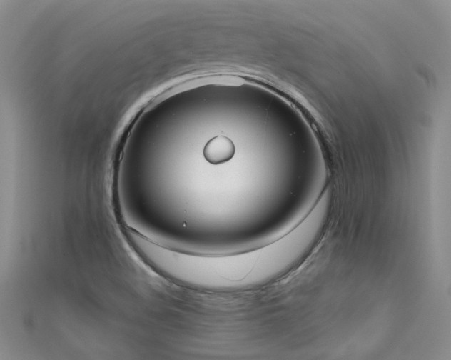 X0000111521508200907141457