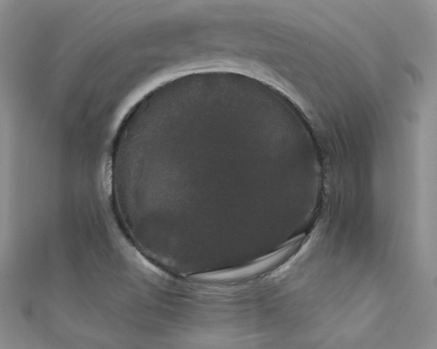 X0000111521510200907141457