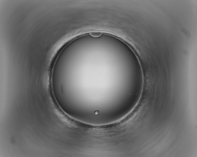 X0000111521511200907141457
