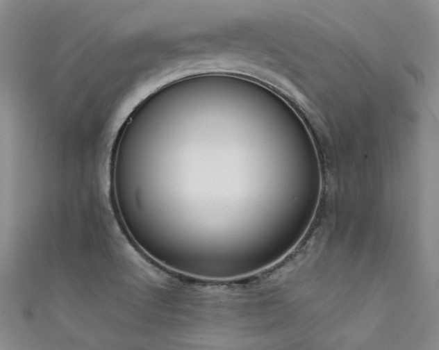 X0000111521512200907141457