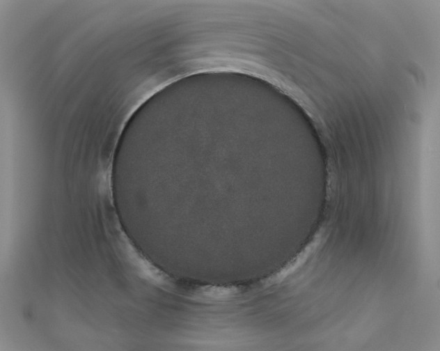X0000111521513200907141457