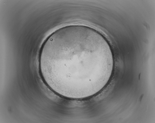 X0000111521514200907141457