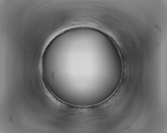 X0000111521516200907141457
