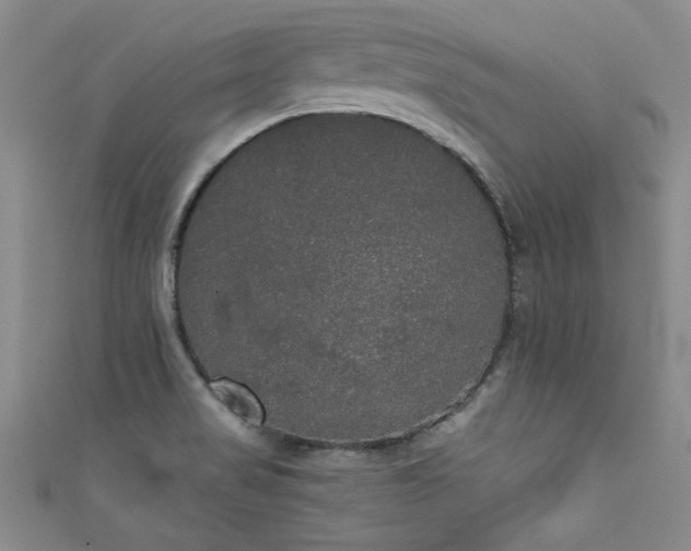 X0000111521517200907141457