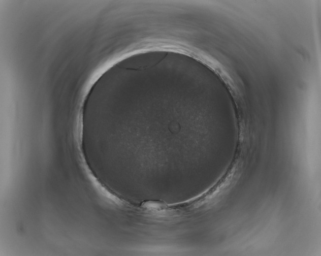X0000111521520200907141457