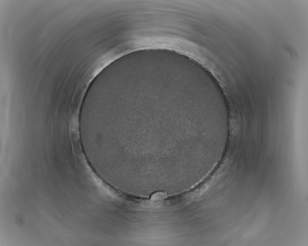 X0000111521521200907141457