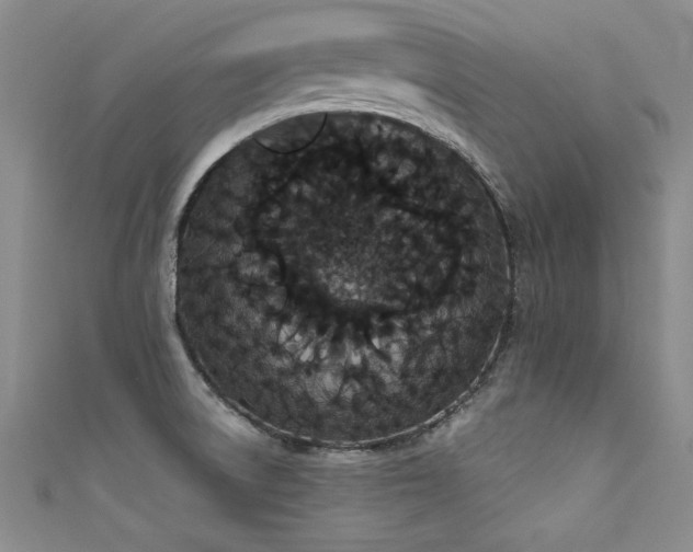X0000111521522200907141457