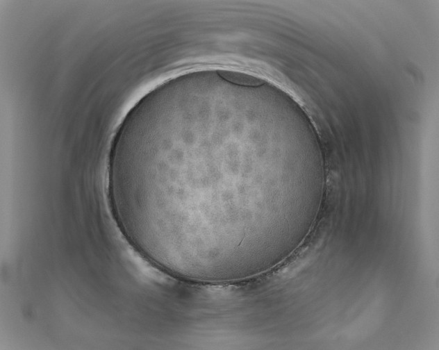 X0000111521523200907141457