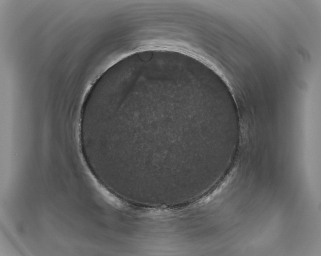 X0000111521525200907141457