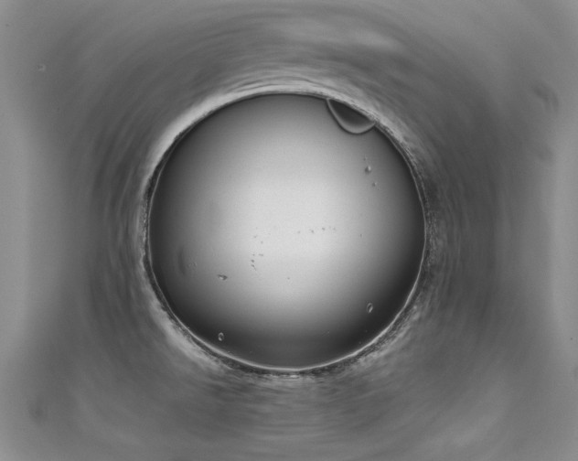 X0000111521526200907141457