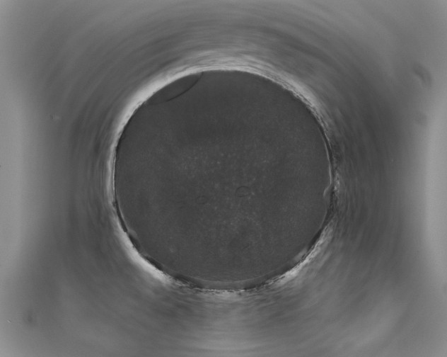 X0000111521528200907141457