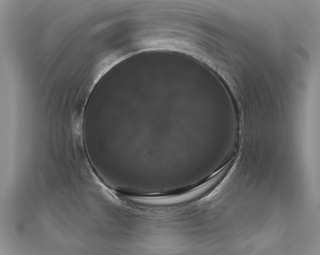 X0000111521529200907141457