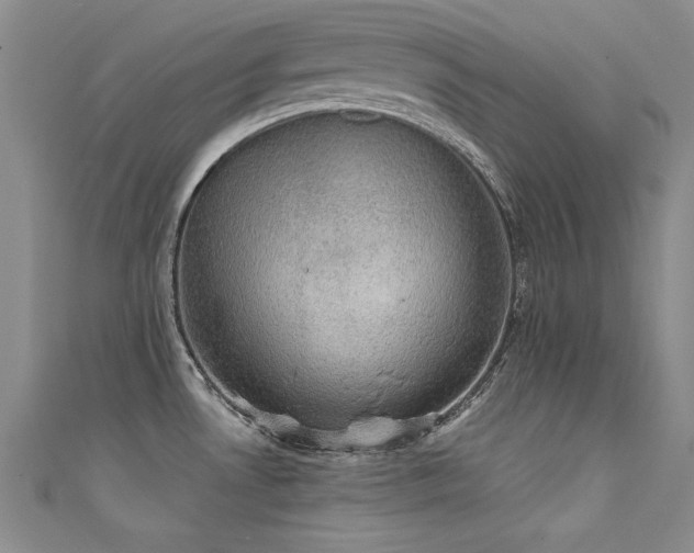 X0000111521530200907141457