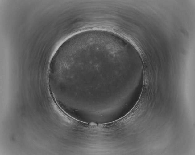 X0000111521532200907141458