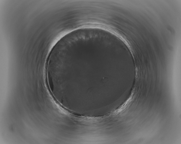 X0000111521533200907141458