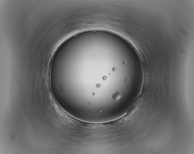 X0000111521534200907141458