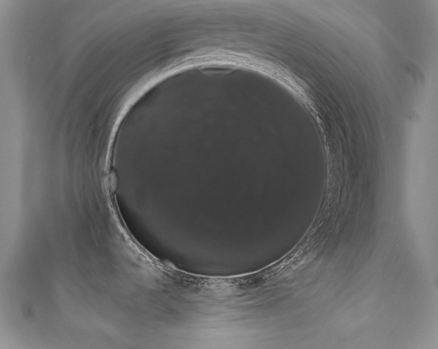 X0000111521536200907141458