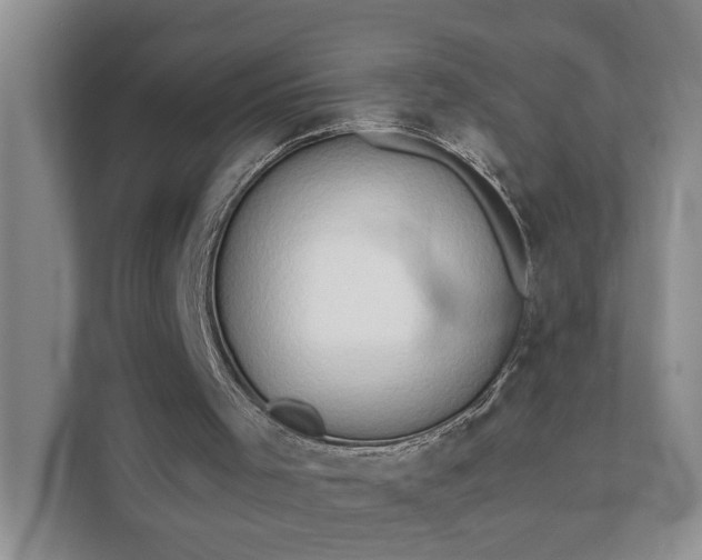 X0000111520001200907211233